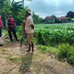 Polres Lobar Kawal Petani Wujudkan Ketahanan Pangan Nasional