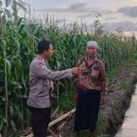 Sinergi Polisi dan Petani di Desa Babussalam untuk Wujudkan Ketahanan Pangan
