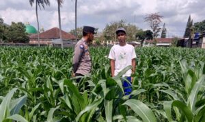 Bhabinkamtibmas Kuripan Ajak Warga Dusun Due Pelet Wujudkan Ketahanan Pangan