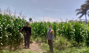 Polsek Kuripan Dorong Ketahanan Pangan Desa Jagaraga Lombok Barat