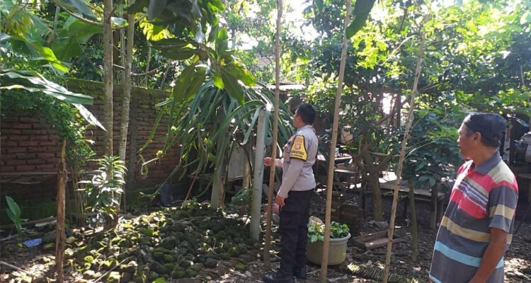 Polsek Kuripan Gandeng Warga Dusun Beremi Tingkatkan Kemandirian Pangan