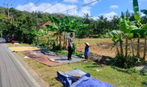 Sinergi Polri dan Petani Dusun Eyat Mayang Perkuat Program Ketahanan Pangan Nasional