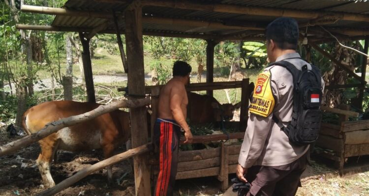 Warga Dusun Melase Antusias Sambut Program Pertanian Pekarangan yang Digagas Polsek Batulayar