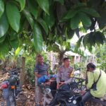 Bhabinkamtibmas Kuripan Ajak Petani Jagaraga Optimalkan Lahan Pekarangan