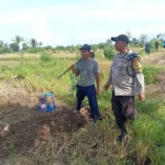 Sinergi Polri dan Petani Wujudkan Ketahanan Pangan di Karang Bongkot
