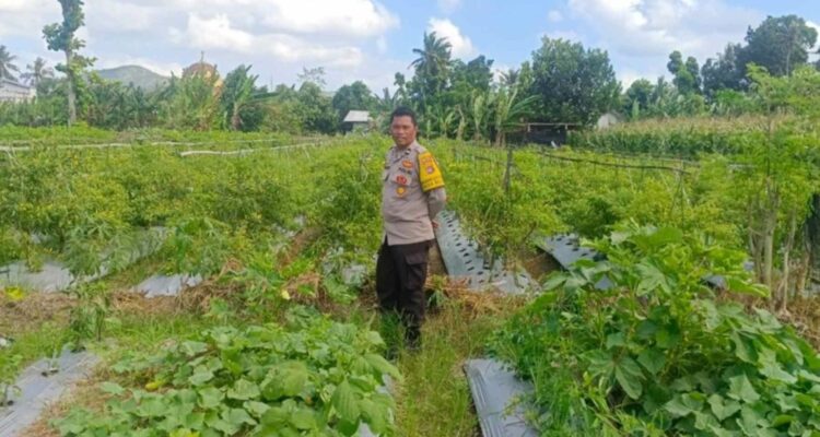 Strategi Polsek Gerung Perkuat Ketahanan Pangan Nasional