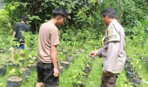 Strategi Polsek Batulayar Tekan Inflasi Melalui Lahan Desa